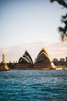 pexels-photo-15453729-15453729 Study in Australia