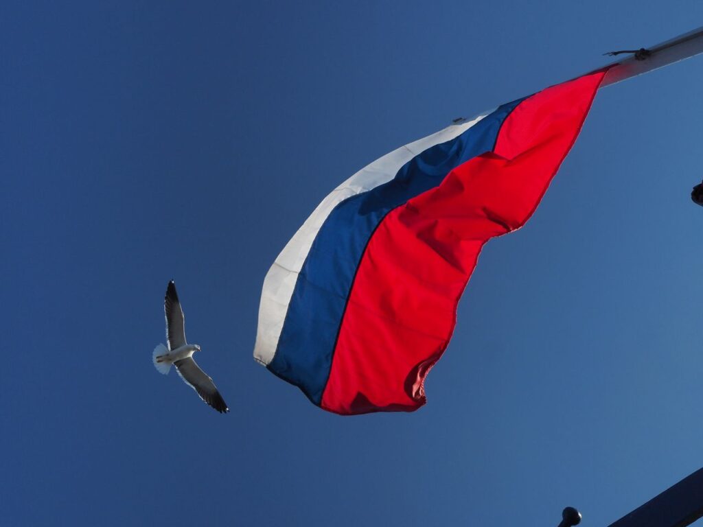 pexels-photo-9137423-9137423 A Russian flag waving alongside a seagull in flight with a clear blue sky backdrop.